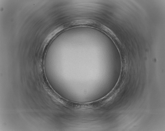 X0000074300786200609151941