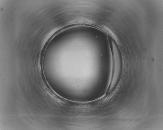 X0000074300788200609151941