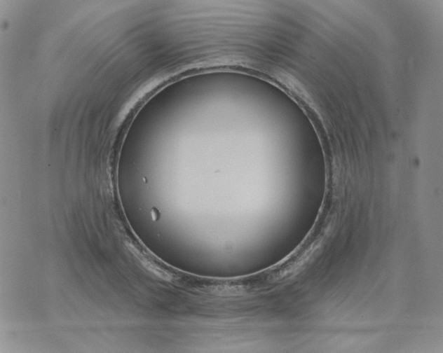 X0000074300789200609151941