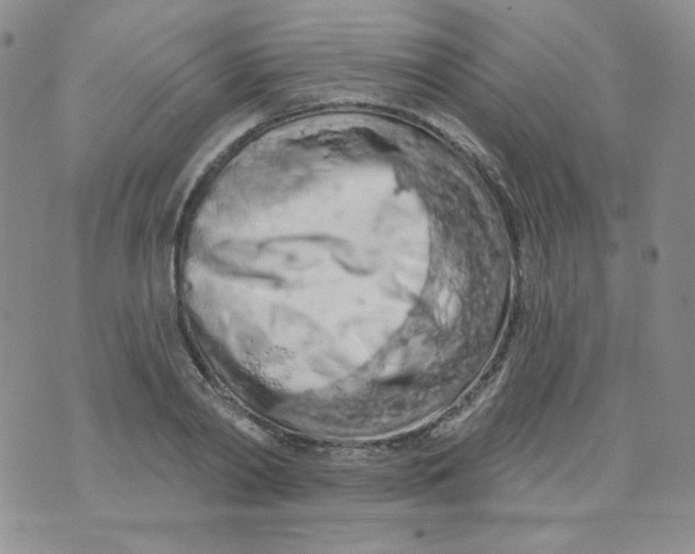 X0000074300790200609151941