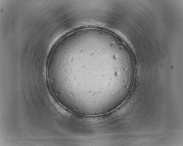 X0000074300791200609151940