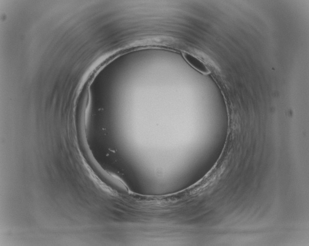 X0000074300792200609151940