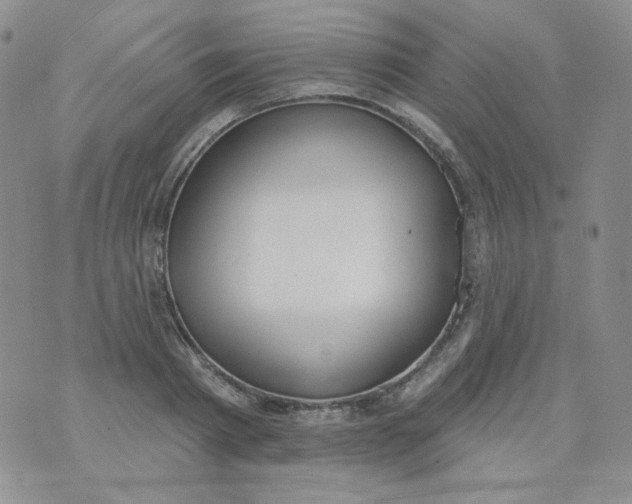 X0000074300793200609151940