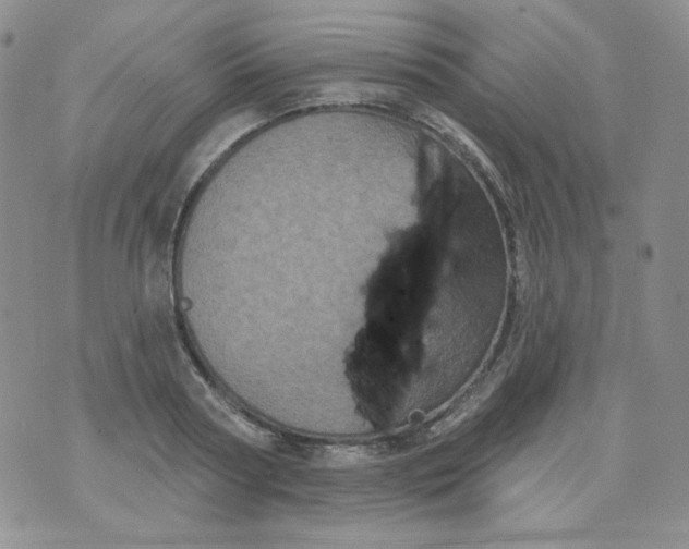 X0000074300794200609151940