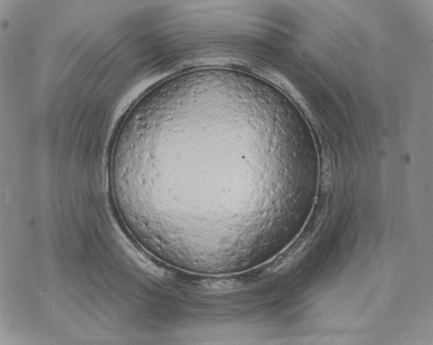 X0000074300795200609151940