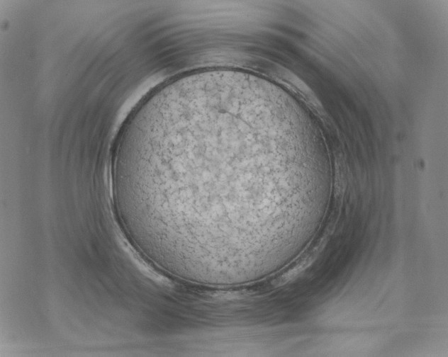 X0000074300796200609151940