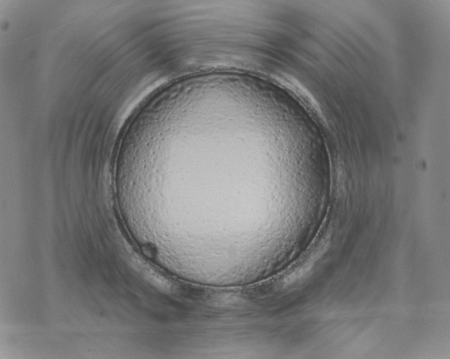 X0000074300798200609151940