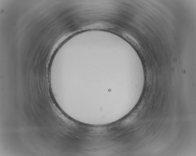 X0000074300800200609151940