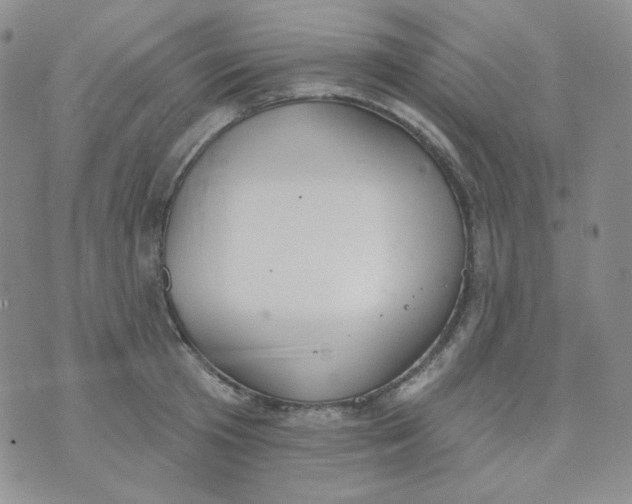 X0000074300801200609151940