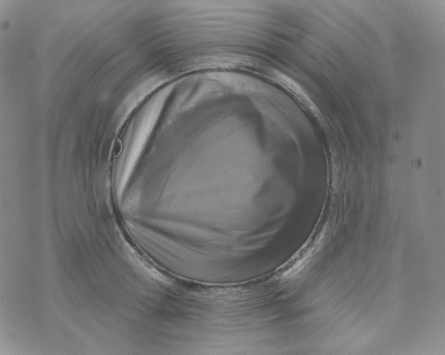 X0000074300802200609151940