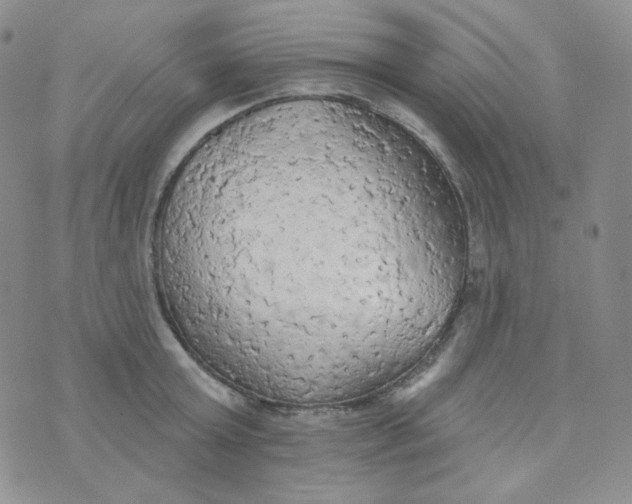 X0000074300803200609151940