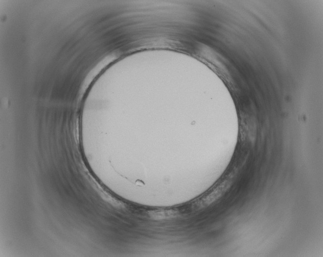 X0000074300804200609151940