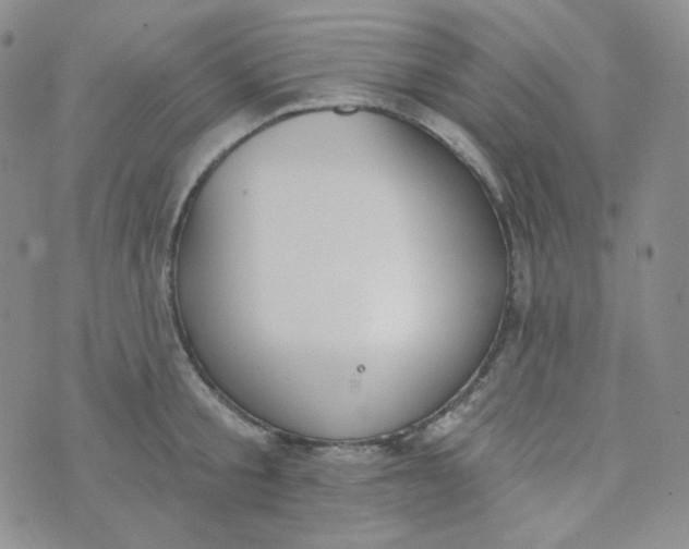 X0000074300805200609151940