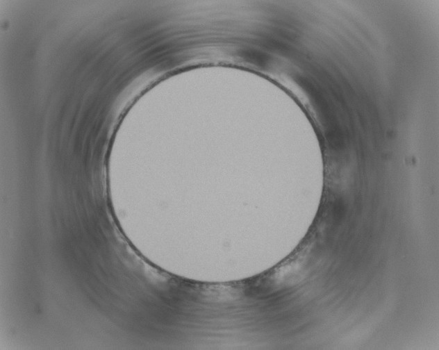 X0000074300807200609151940