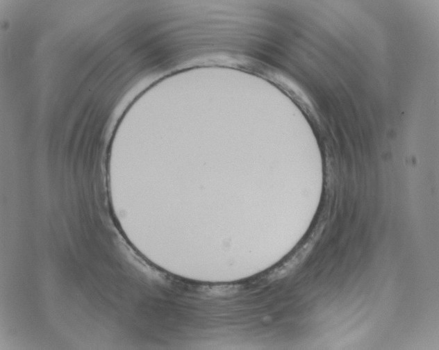 X0000074300808200609151940