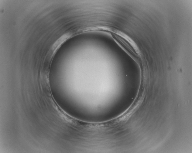 X0000074300809200609151940