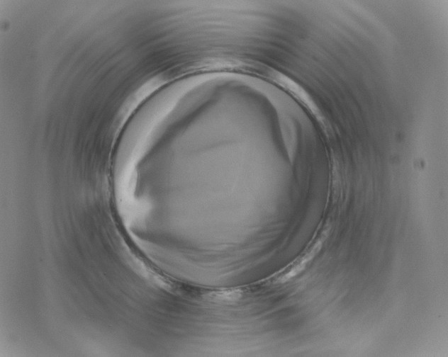 X0000074300810200609151940