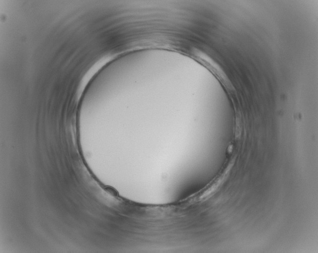 X0000074300812200609151940