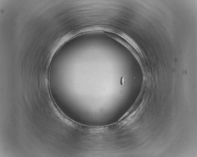 X0000074300813200609151940