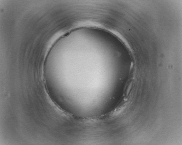 X0000074300815200609151940