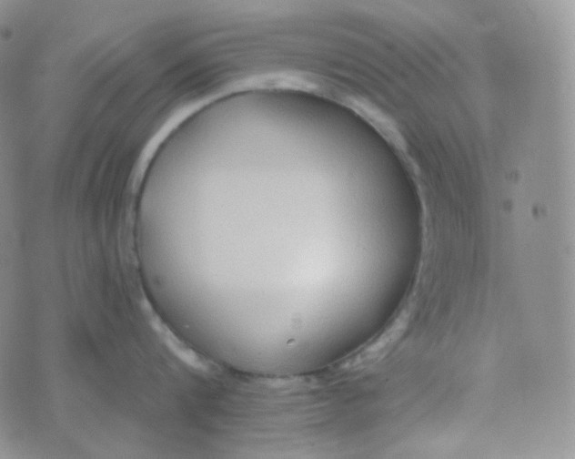 X0000074300816200609151940