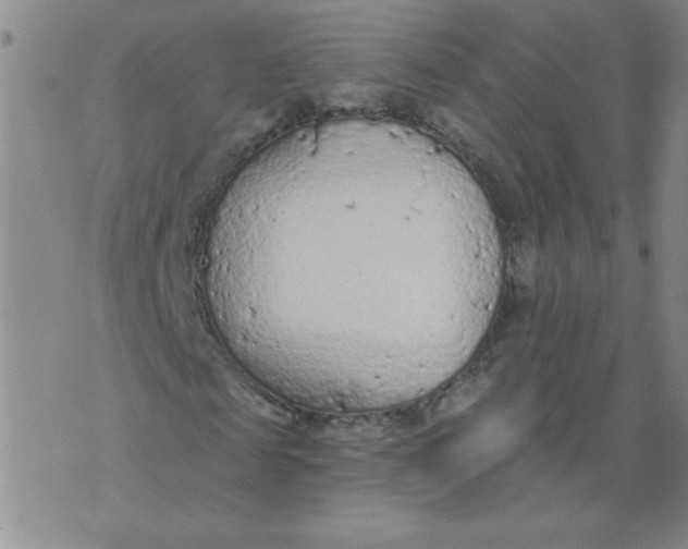 X0000074300817200609151939