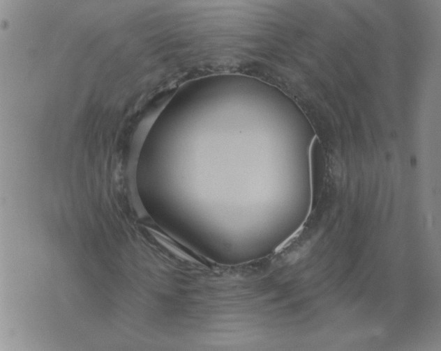 X0000074300818200609151939