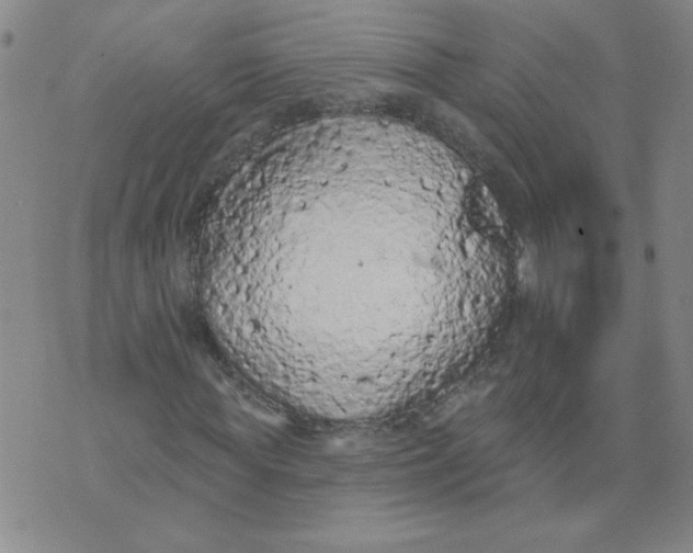 X0000074300819200609151939