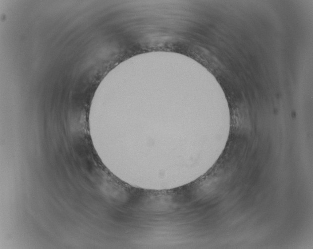 X0000074300820200609151939