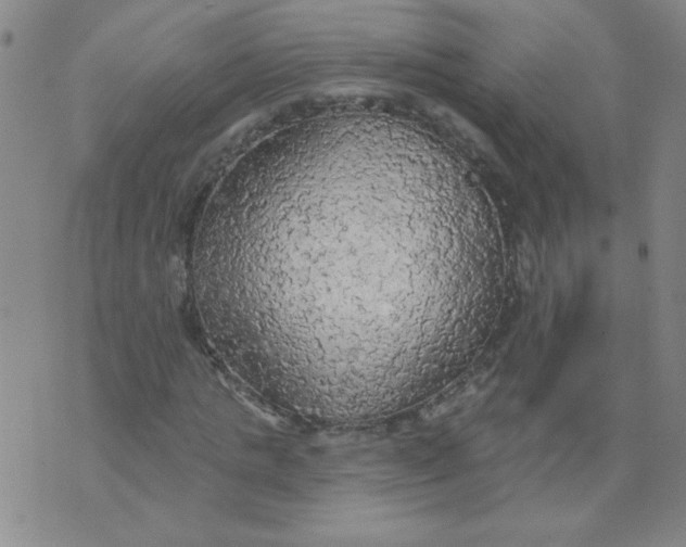 X0000074300821200609151939