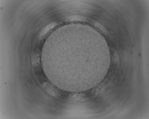 X0000074300824200609151939