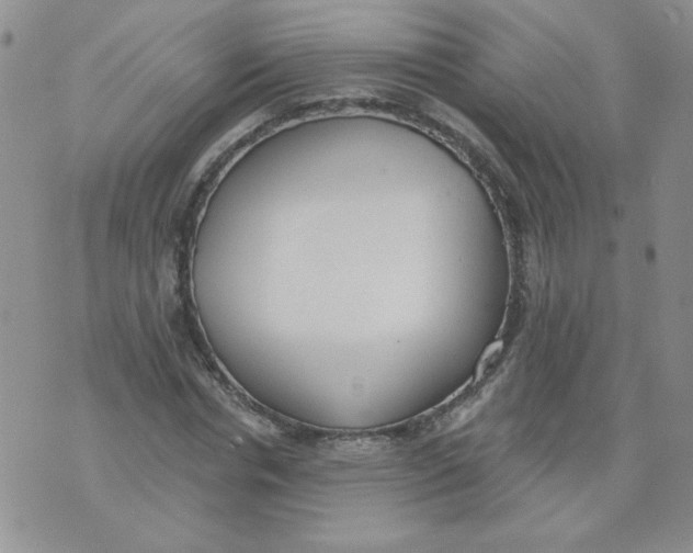 X0000074300826200609151939