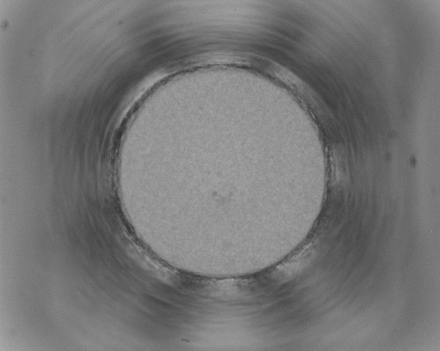 X0000074300828200609151939