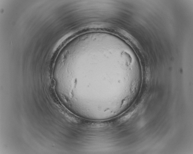 X0000074300829200609151939