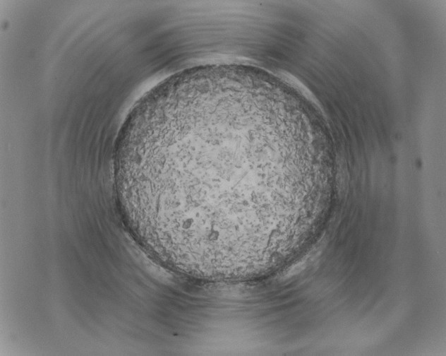 X0000074300831200609151940