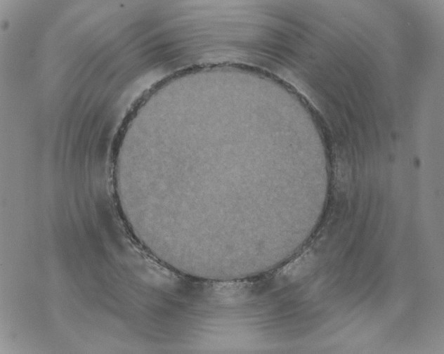 X0000074300832200609151940