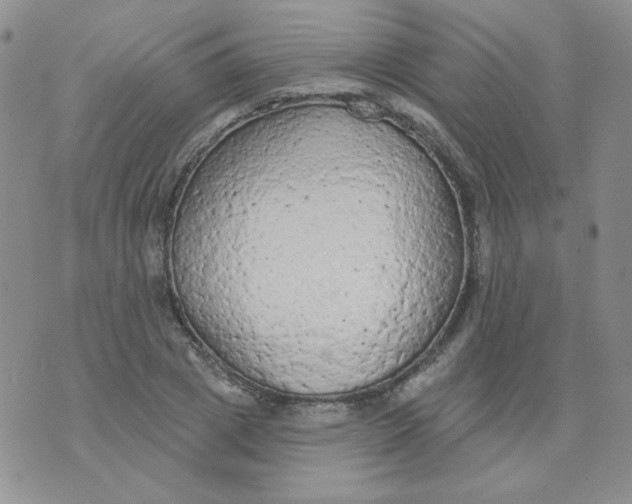 X0000074300833200609151940