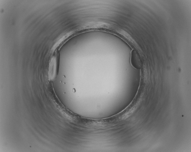 X0000074300834200609151940