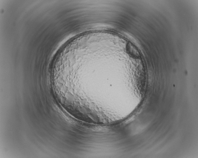 X0000074300835200609151940