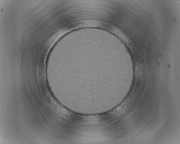 X0000074300836200609151940