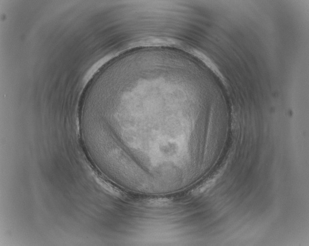 X0000074300837200609151940