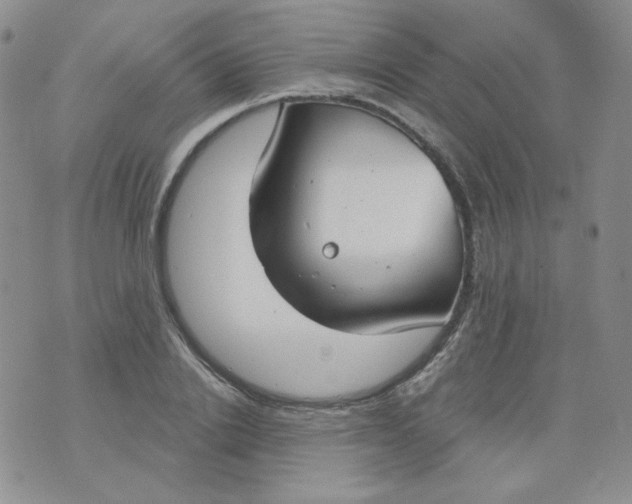 X0000074300838200609151940