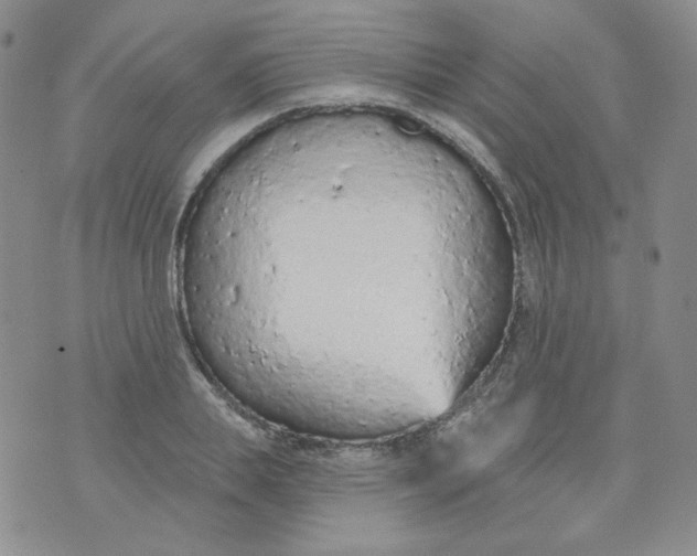 X0000074300839200609151940