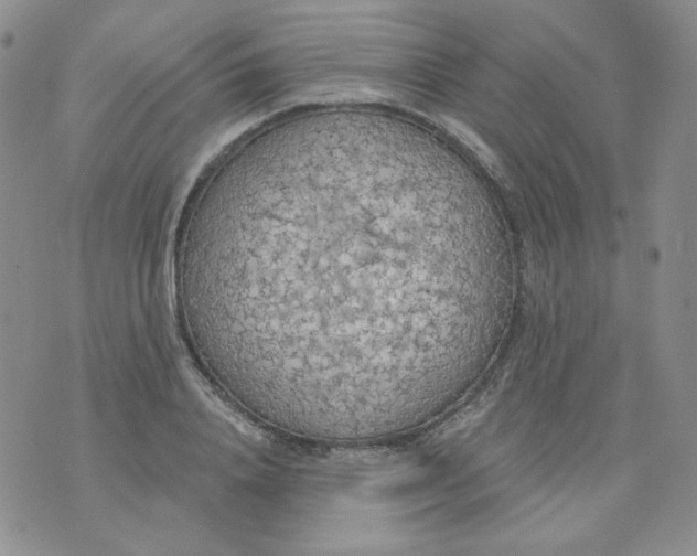 X0000074300840200609151940