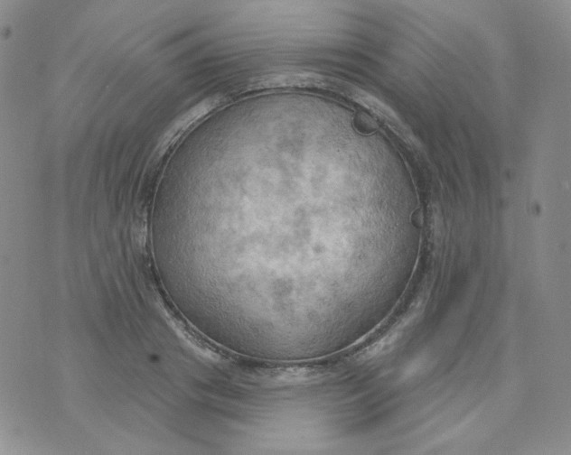 X0000074300841200609151940