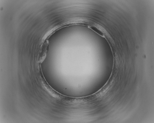 X0000074300842200609151940