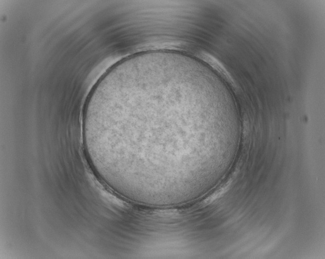 X0000074300844200609151940