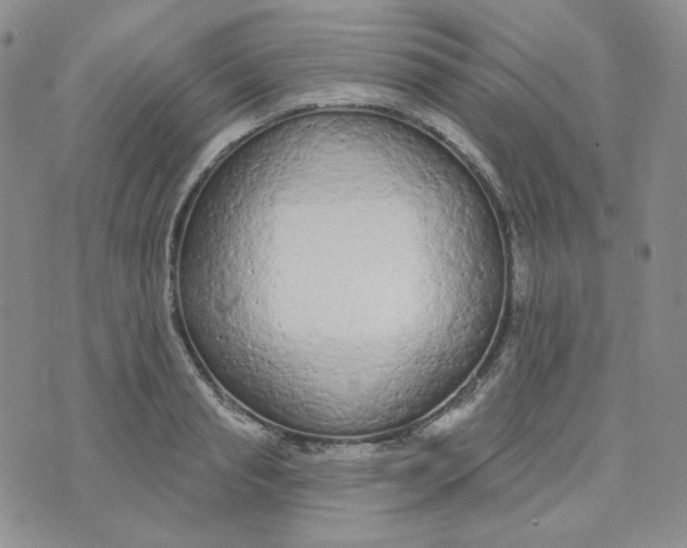 X0000074300845200609151940