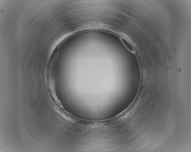 X0000074300846200609151940