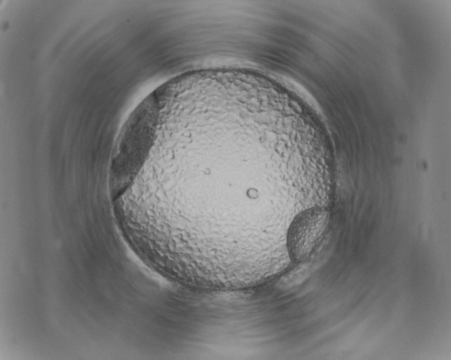 X0000074300847200609151940